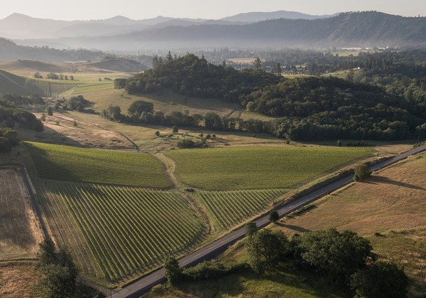 Chaotic Ridge Vineyard