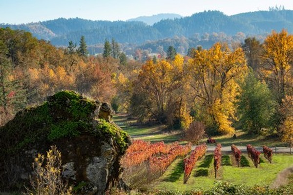 Cox's Rock in Fall