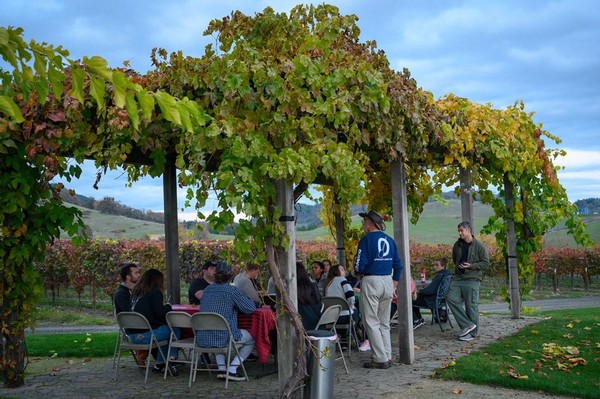 Abacela Vineyard Gazebo