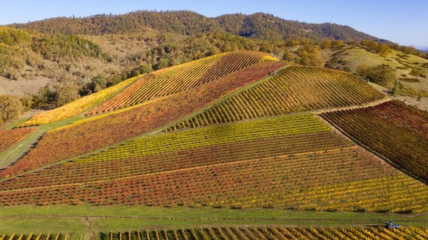 Cobblestone and Grand Hill in autumn