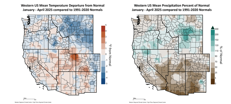 2025 Year to Date Temperature and Precipitation Departures