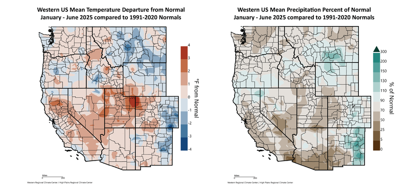 2025 Year to Date Temperature and Precipitation Departures