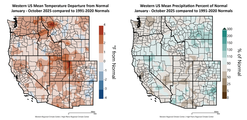 2025 Year to Date Temperature and Precipitation Departures
