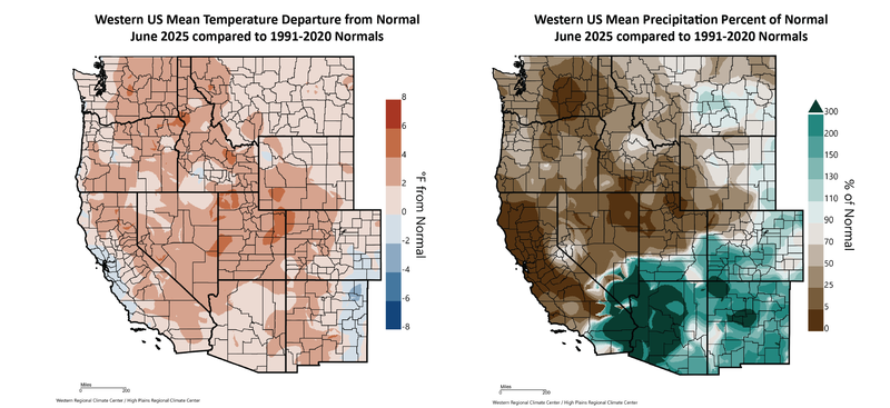June 2025 Temperature and Precipitation Departures from Normal