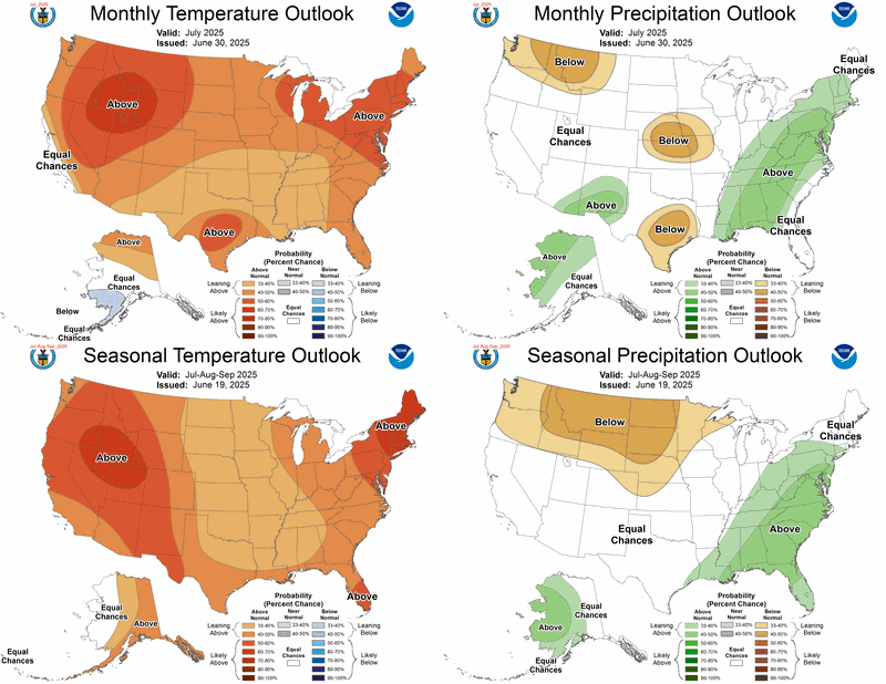 Monthly and 90-Day Forecast for Temperature and Precipitation