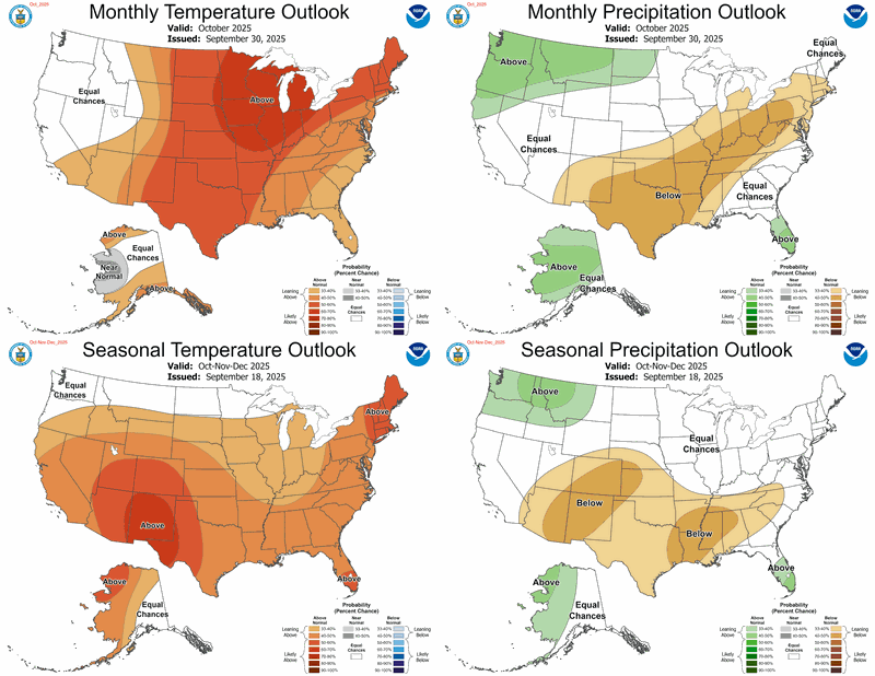 Monthly and 90-Day Forecast for Temperature and Precipitation