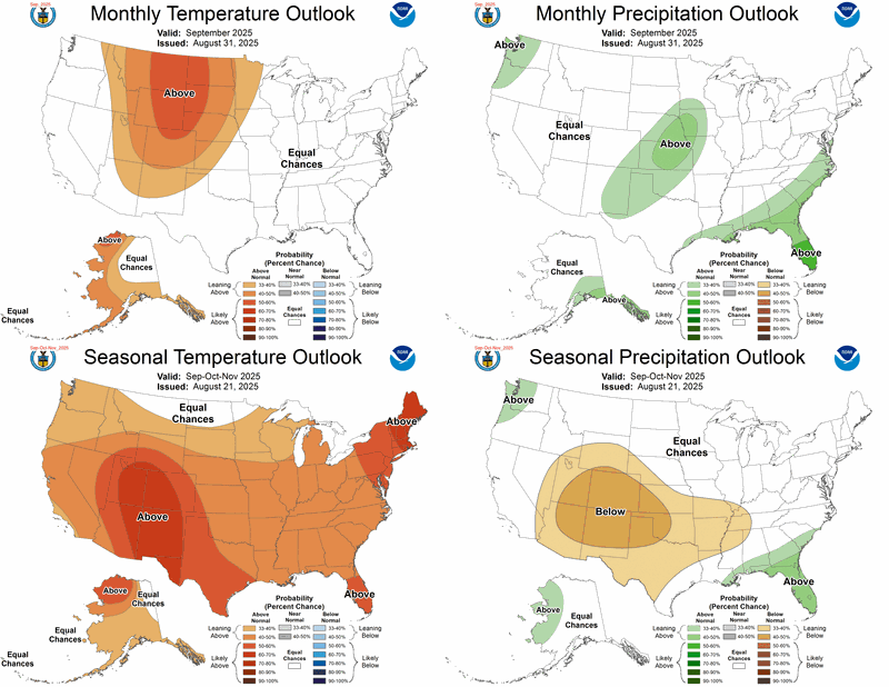 Monthly and 90-Day Forecast for Temperature and Precipitation