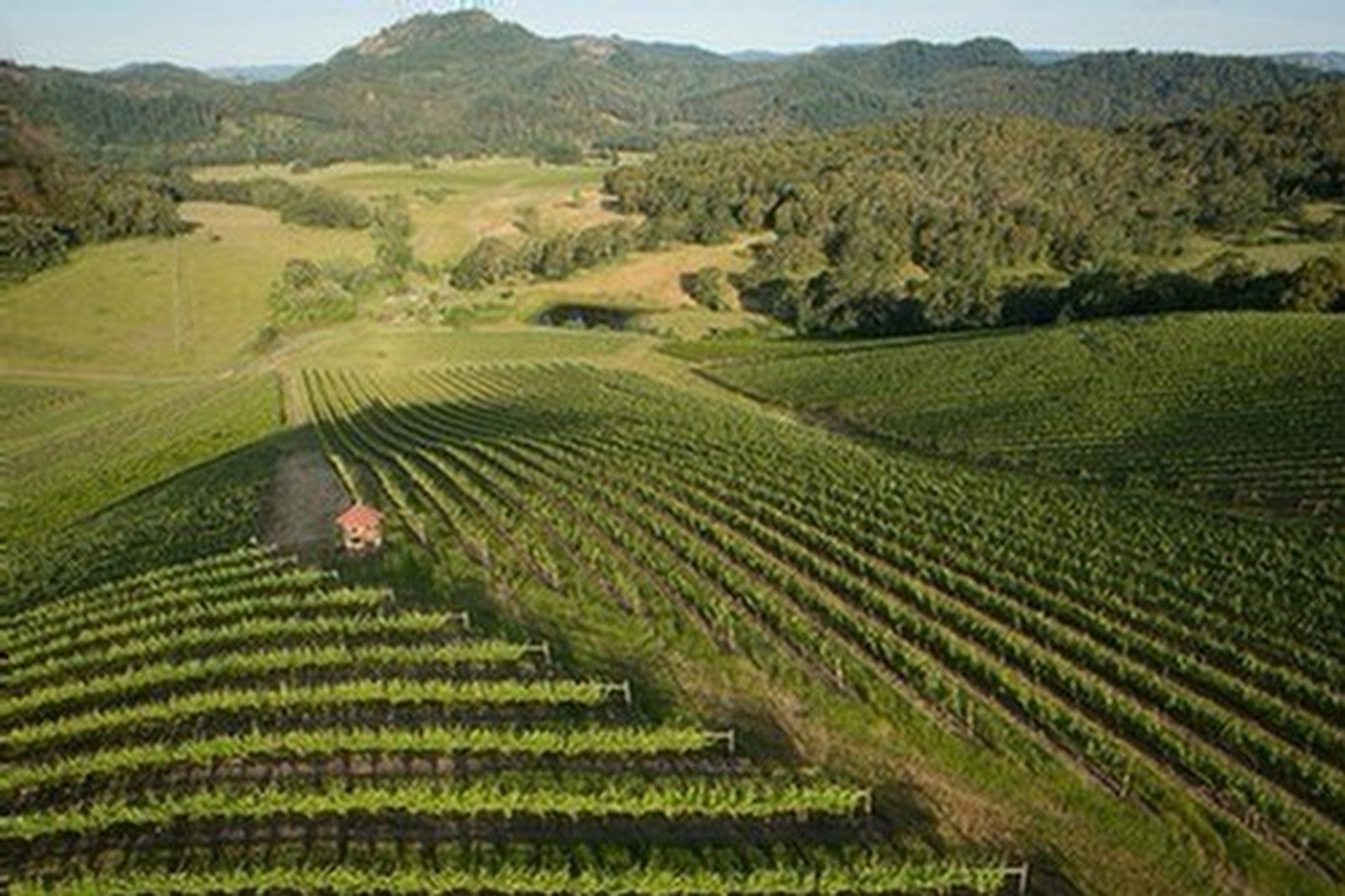 Abacela Vineyard Tours