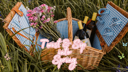 Twist & Sip into Spring