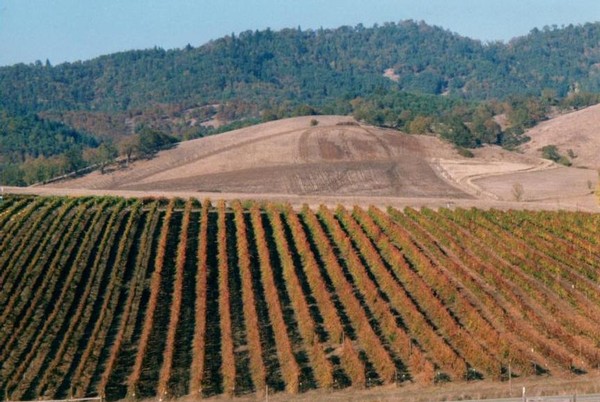 Aerial of Abacela vineyard