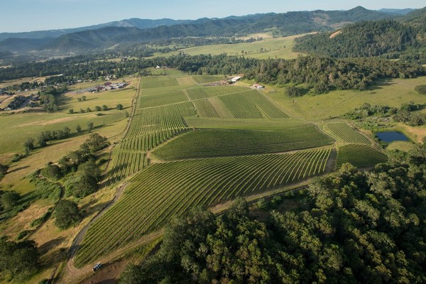 Abacela aerial Vineyard view