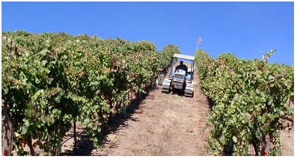 Tractor Driving on a hill