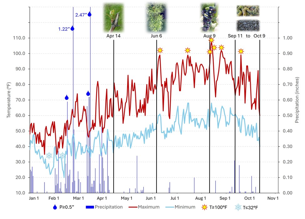 Weather and phenological graph