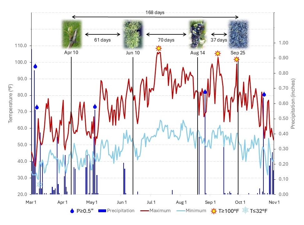 Weather and phenological graph