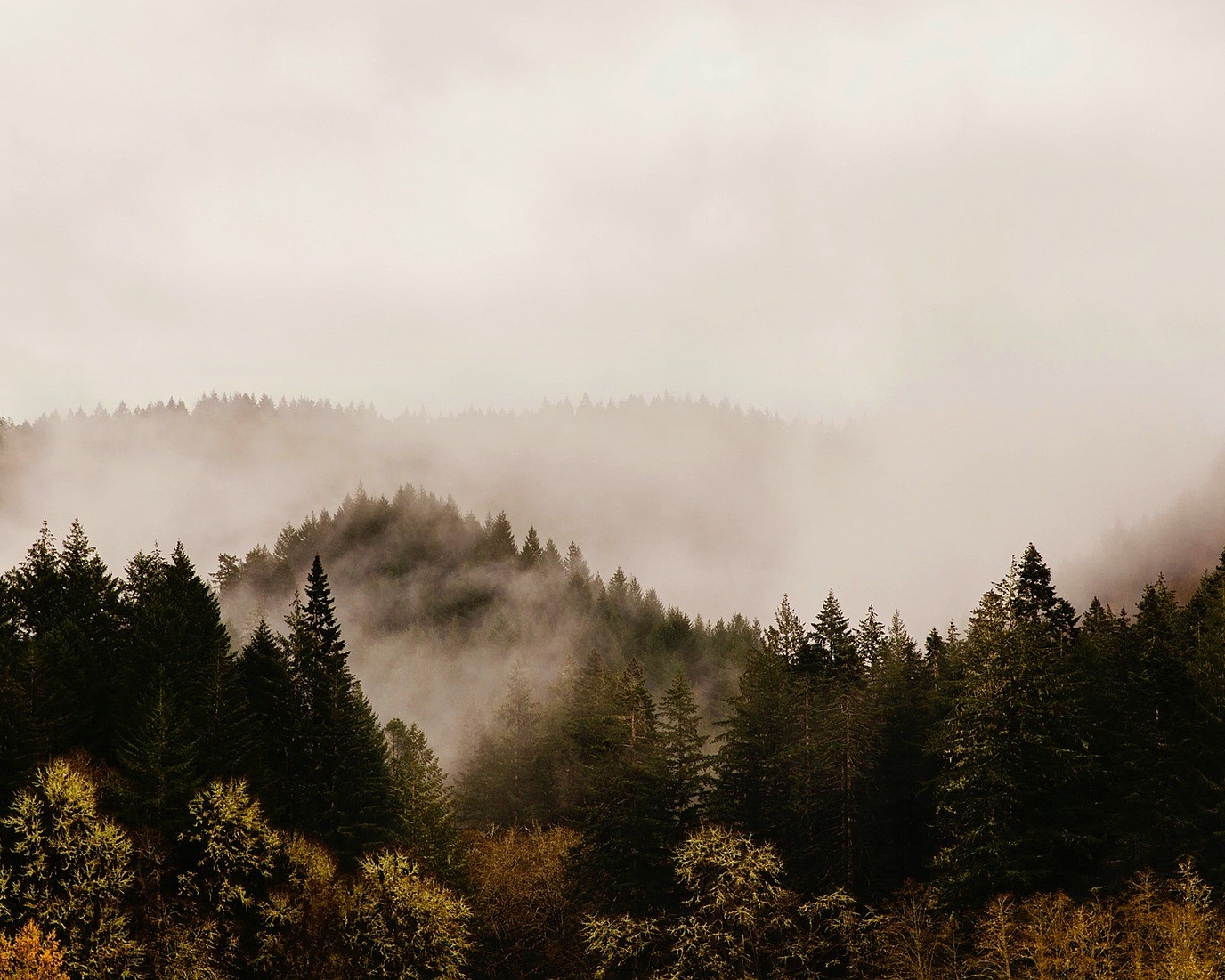 Mountains in the Umpqua Valley