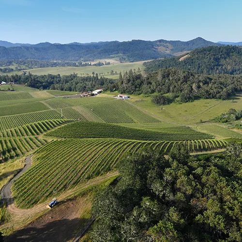 Abacela Vineyard aerial thumbnail