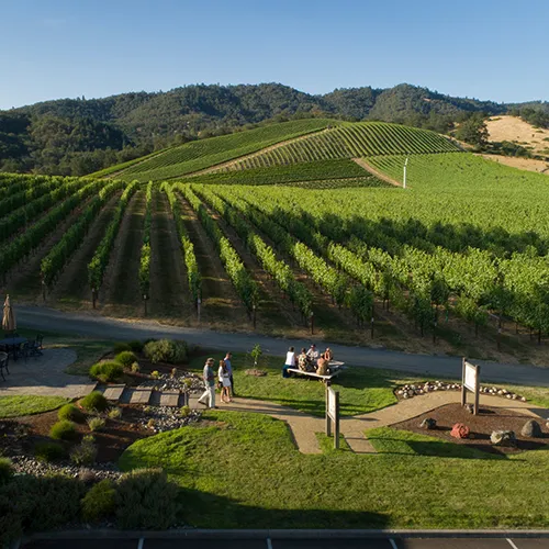 Abacela Vineyard aerial thumbnail