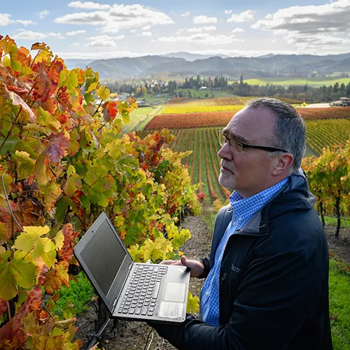 Greg Jones working in the vineyard with a laptop