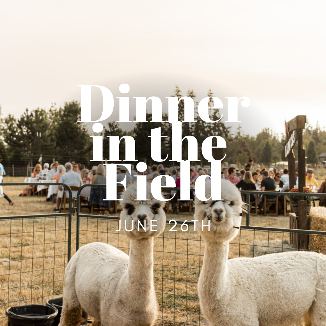 Dinner in the Field at Alpacas at Marquam Hill Ranch